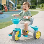 2614 NEW TRIYCLE-4