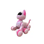 KEDİ 6602 KUMANDALI ROBOT KEDİ-2