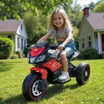 8187 CYCLE 12V BATTERY OPERATED-4
