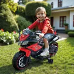 8188 CYCLE 12V BATTERY OPERATED-4
