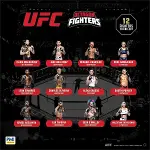 PMI/UFC2009-3