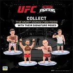 PMI/UFC2009-4
