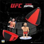 PMI/UFC2009-5