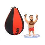 PMI/UFC2009-1