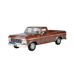 MM-79646 1 24 1979 GORD F-100 CUSTOM-2