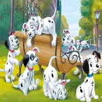 DAL 709 101 DALMATİAN PUZZLE 50-2
