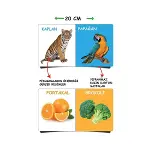 2090 Dıytoy, İlk Kütüphanem-İlk Sözcükler 8'Li Mini Kitap Seti-4