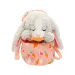 BAW02000 Baby Paws Sesli Tavşan 20 cm Peluş-6