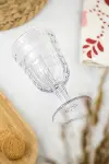 Allegra Şeffaf Kadeh Bardak - 450 ml Tekli Akrilik Malzeme - Cam Değildir Kırılmaya Dayanıklı-3
