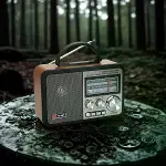Orta Boy Retro, Nostaljik, Ahşap Tasarım Bluetooth Hoparlörlü, Şarjlı, Taşınabilir FM/AM Destekli Ra-3