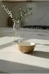 Mango Agacı Sunum Servis Kasesi & Dekoratif Kase 20 Cm Krem-2