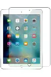 Apple iPad Mini 5 Tablet Cam Ekran Koruyucu-1