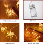 2m 10 Geyikli İp Led Işık Mz-11-3