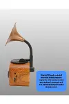 Kablosuz Retro Radyo Hoparlör 5W Güçlü Ses USB Hafıza Kart Destekli Yeni Nesil-4