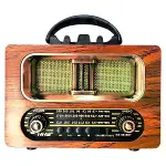 Büyük Boy Retro, Nostaljik, Ahşap Tasarım Bluetooth Hoparlörlü, Şarjlı, Taşınabilir FM/AM Destekli R-6