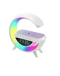 BT3401 Google Digital-2