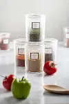 6'lı Barok Yuvarlak Baharat Kavanoz Seti & Saklama Kabı & Erzak Kabı (6*250 ML)-7