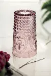 Akrilik Mürdüm 6'lı Uzun Bardak & Su Meşrubat Bardağı 750 ml ( Büyük Boy & Cam Değildir )-6