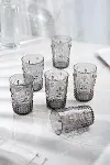 Akrilik Füme 6'lı Kısa Bardak & Su Meşrubat Kahve Yanı Bardağı 400 ml ( Cam Değildir )-2