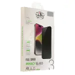 Apple iPhone 12 Pro Max Bilvis 3D Hayalet Cam Ekran Koruyucu-3