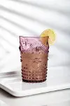 Akrilik Mürdüm Tekli Kısa Bardak & Su Meşrubat Kahve Yanı Bardağı 400 ml ( Cam Değildir )-1