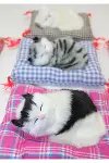 Yastıkta Uyuyan Kedi Sesli Alk25-2