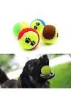 3'lü Renkli Desenli Tenis Topu Kedi Köpek Oyuncağı-3