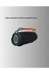 10W Çift Çıkış Güçlü Bluetooth Hoparlör Eller Serbest Yeni Nesil-3