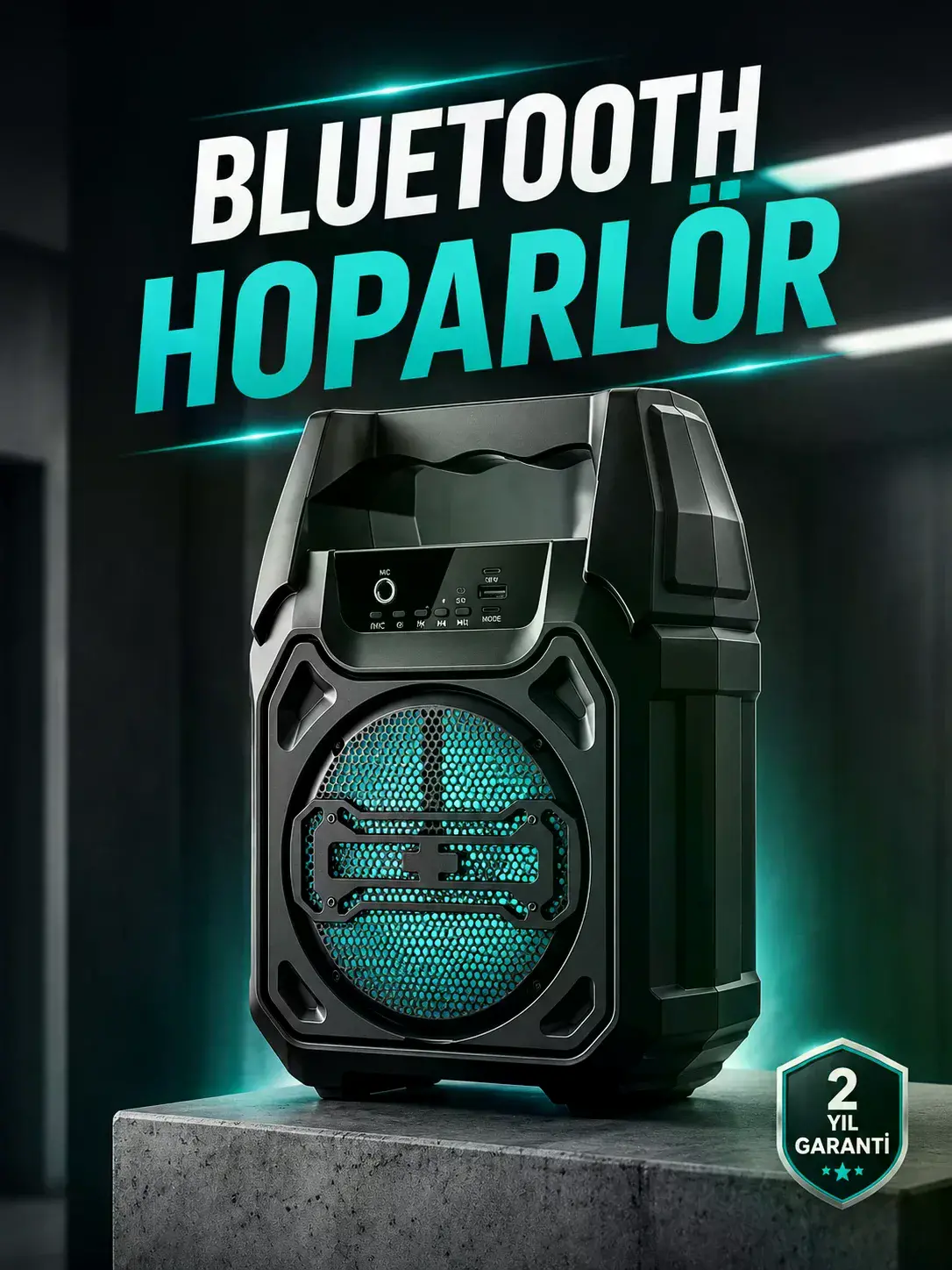 Kablosuz 6.5 İnç TWS Bluetooth Hoparlör