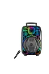 8 İnç Karaoke Hoparlör USB AUX FM Destekli Işıklı Speaker-5