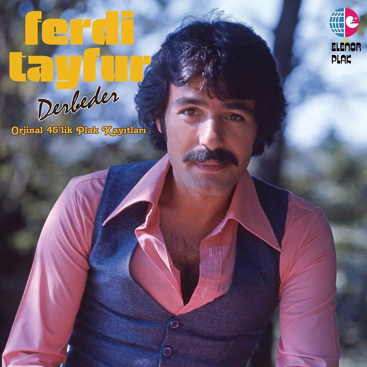 Ferdi Tayfur Derbeder Plak