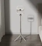 LIGHT GOLD PORTABLE STAND-5