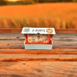FOLDSCOPE CEP MİKROSKOBU GEZGİN SETİ-5
