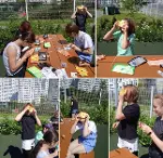 FOLDSCOPE CEP MİKROSKOBU GEZGİN SETİ-7