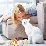® 2 Adet Çıngıraklı Zilli Peluş Kedi Topu 7 cm – Büyük Boy Sesli Kedi Oyuncağı, Dayanıklı Yumuşak To-7