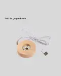 LED Işıklı Kristal Küre Ahşap Standlı Dekoratif Gezegen Model-2