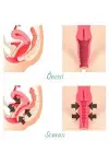 Vagitight Kadınlar İçin Genital Bölge Şekillendirici Krem 100 ml X 2 ADET-2