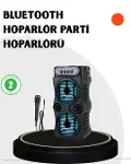Bluetooth Bağlantılı Taşınabilir Hoparlör – LED Işıklı, FM Radyolu, Mikrofon Girişli-1