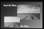 filtre 49 mm Red 25 Filter-3