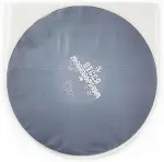 Şeffaf Antistatik LP (12") Plak Zarfı (20 Adet)-2