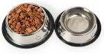 Paslanmaz Çelik Kedi ve Köpek Mama Kabı - Kaymaz Tabanlı, Dayanıklı Besleme Tası (16 Cm)-2
