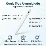 iPad Kalem, Apple Pencil Alternatifi, USB-C Hızlı Şarj, Palm Rejection, iPad Pencil, iPad 6-11 / Air-7