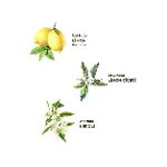 Eyüp Sabri Tuncer Kolonya Pet Şişe Sprey 150 ml Limon-2