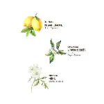 Eyüp Sabri Tuncer Kolonya Pet Şişe Sprey 150 ml Çeşme Limonu-2