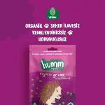 Humm Organik Vegan Pancarlı Grissini 55 Gr-2
