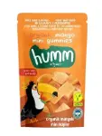 Humm Organik Glutensiz Vegan Mangolu Mini Küpler 30 Gr-1