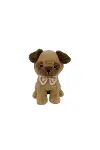 PDT260333-8-5-4 20 CM PELUŞ 6 ASORTİ 20 CM HAYVANLAR(Belirtilen fiyat, tekli satış için adet fiyatıd-5
