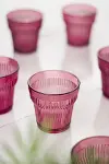 Akrilik Mürdüm 6'lı Kısa Bardak & Su Meşrubat Kahve Yanı Bardağı 300 ml ( Cam Değildir )-3