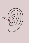 316L Çelik Gümüş Renk Pembe Mineli Kalp Zirkon Taş Detay Tragus Piercing-2