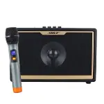Shile SD-1 El Mikrofonlu Kumandalı USB/SD/BT Portatif Hoparlör-5